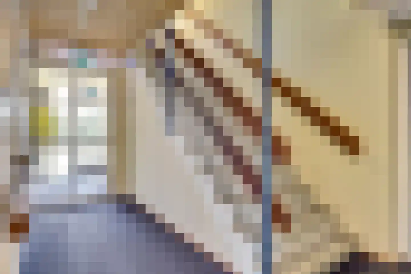 Wagenstraat 69 Apeldoorn thumbnail 23