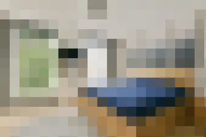 Wagenstraat 8 Lisse thumbnail 17