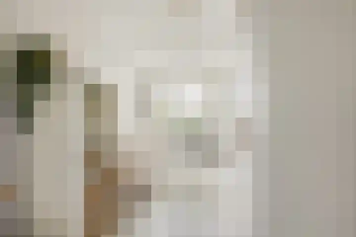 Wagenstraat 8 Lisse thumbnail 19