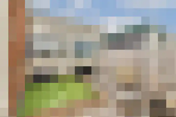 Wagenstraat 8 Lisse thumbnail 24