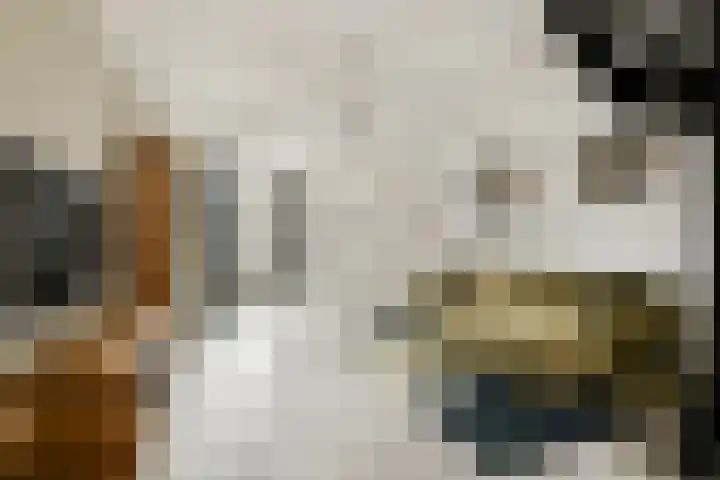 Wagenstraat 8 Lisse thumbnail 8