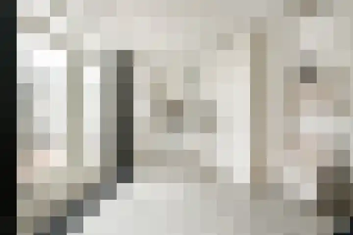 Wagenstraat 8 Lisse thumbnail 9