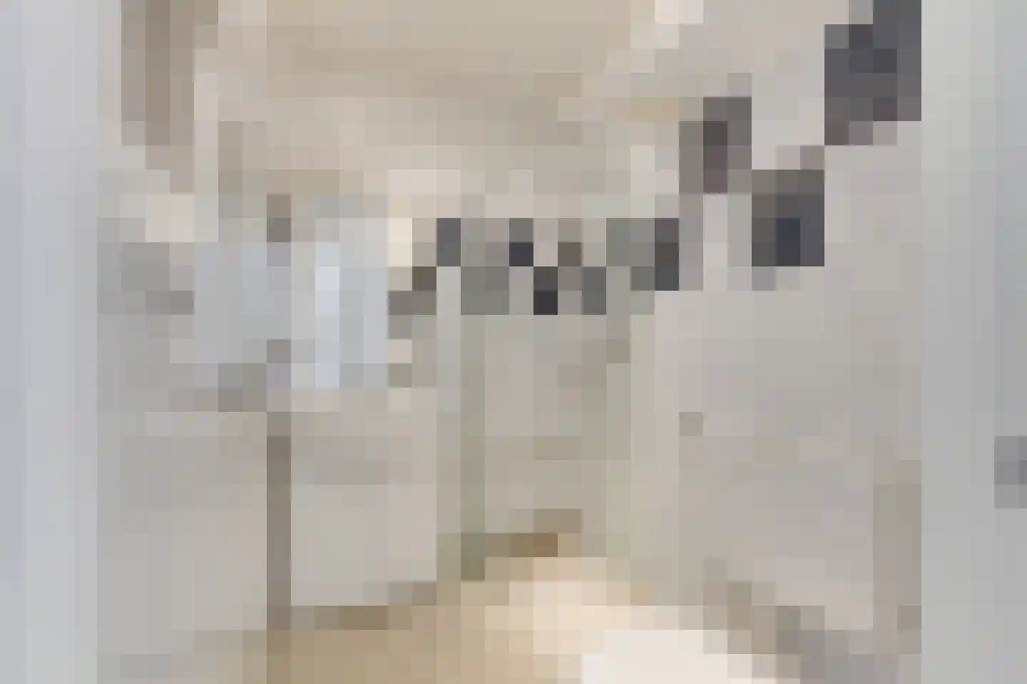 Wagenstraat 83 D Den Haag thumbnail 15