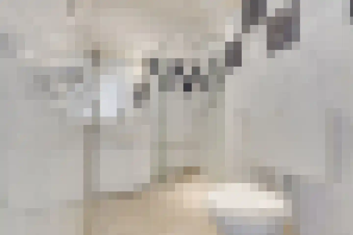 Wagenstraat 83 D Den Haag thumbnail 5