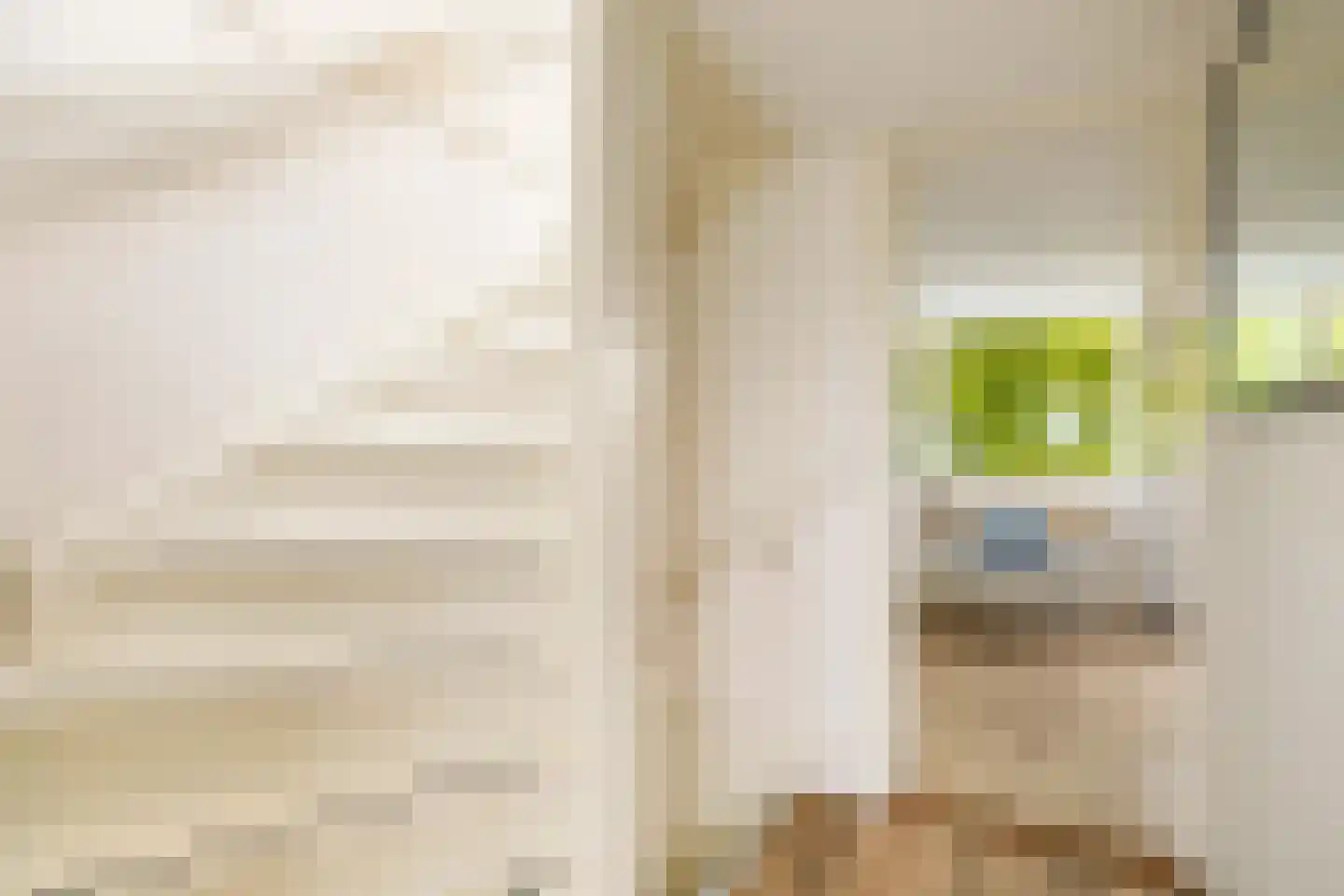 Wagenstraat 9 Utrecht thumbnail 29