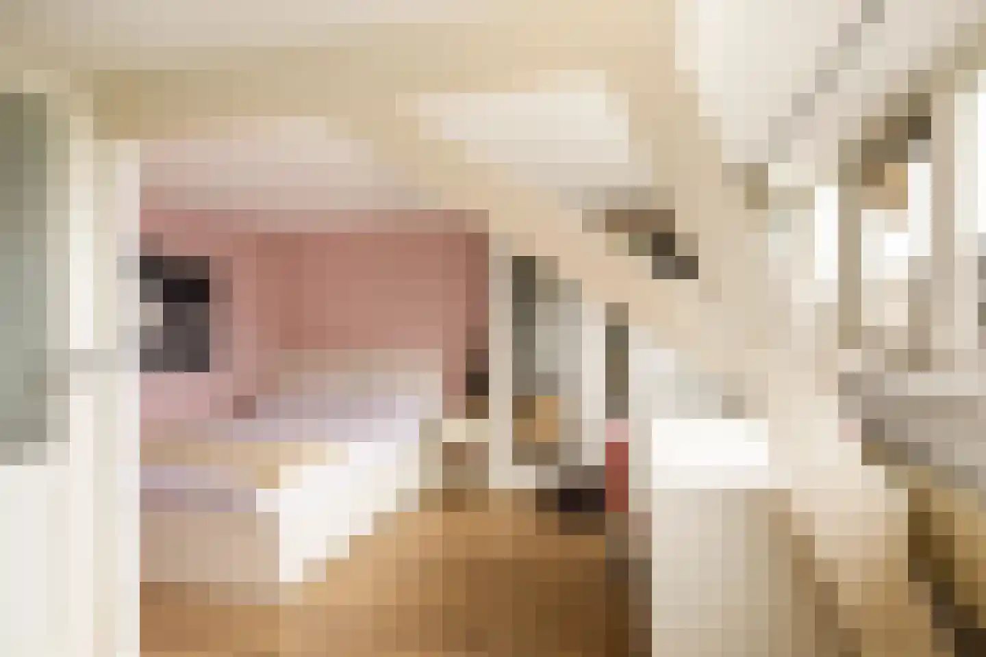Wagenstraat 9 Utrecht thumbnail 34