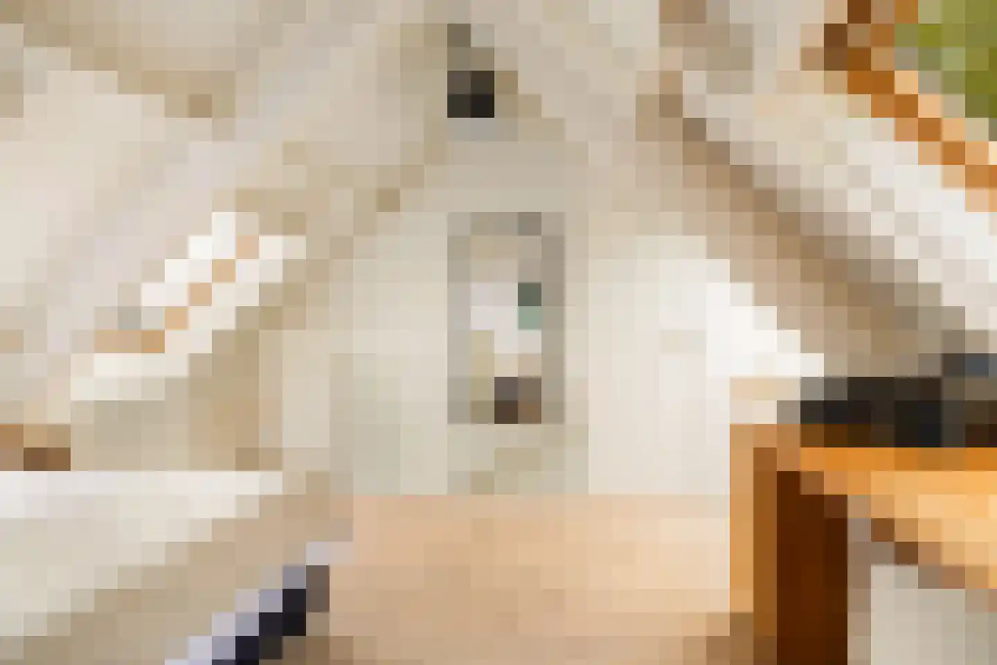 Wagenstraat 9 Utrecht thumbnail 37