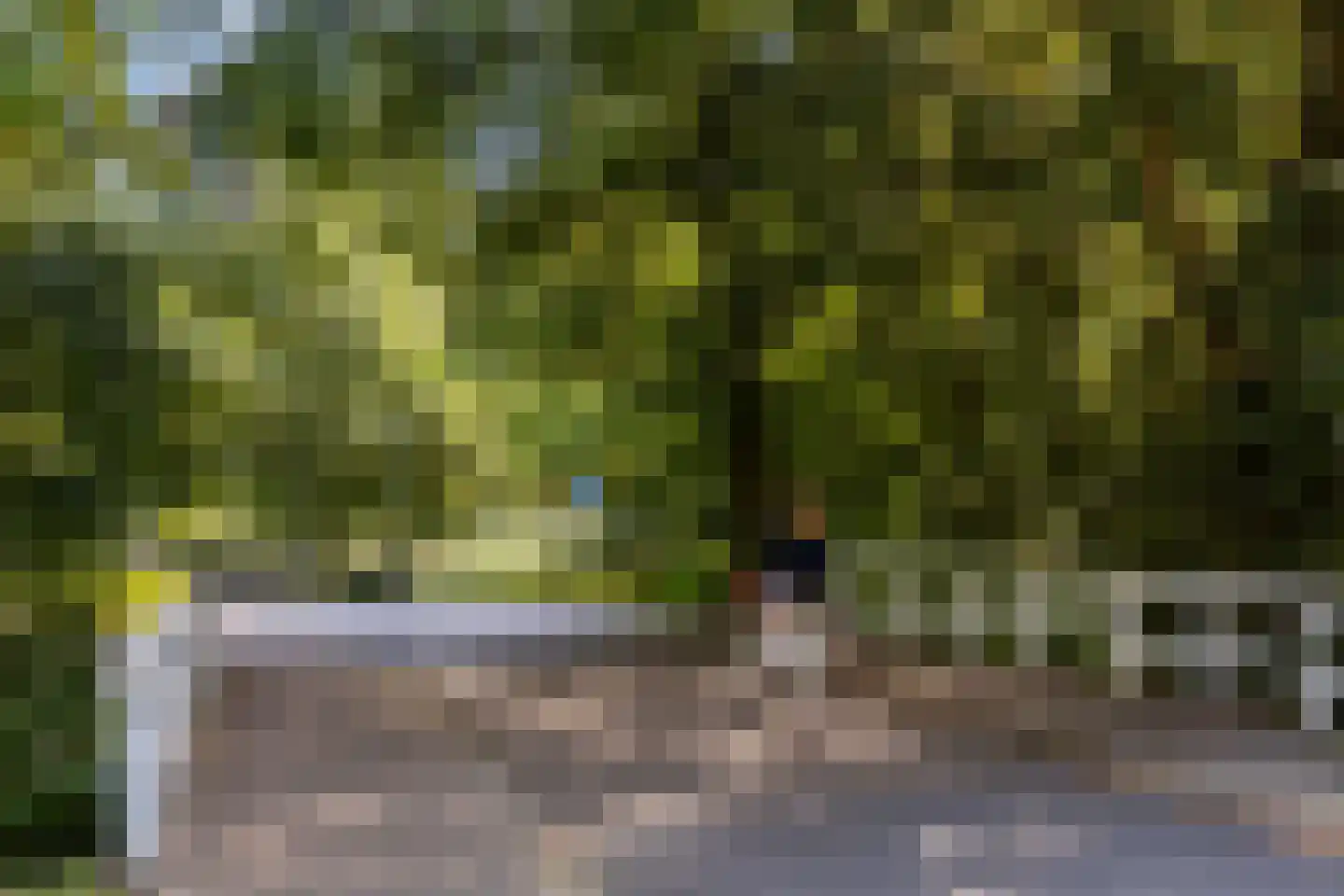 Wagenstraat 9 Utrecht thumbnail 47