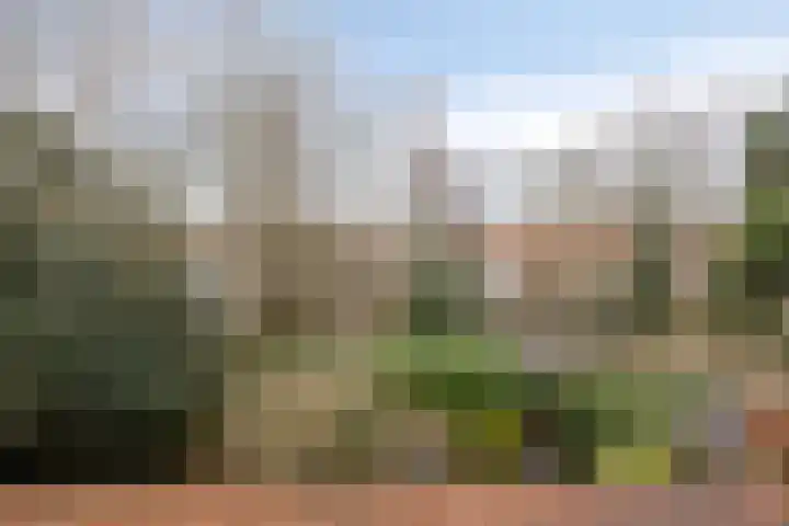 Wagenweg 10 A Haarlem thumbnail 18