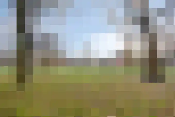 Wagenweg 10 A Haarlem thumbnail 32