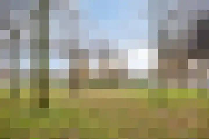Wagenweg 10 A Haarlem thumbnail 33