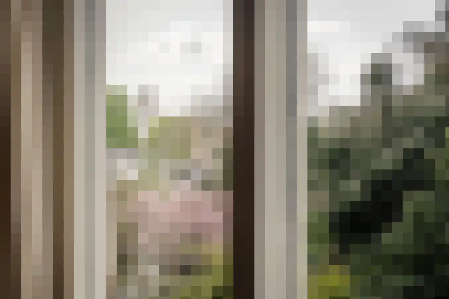Wagenweg 10 C Haarlem thumbnail 9