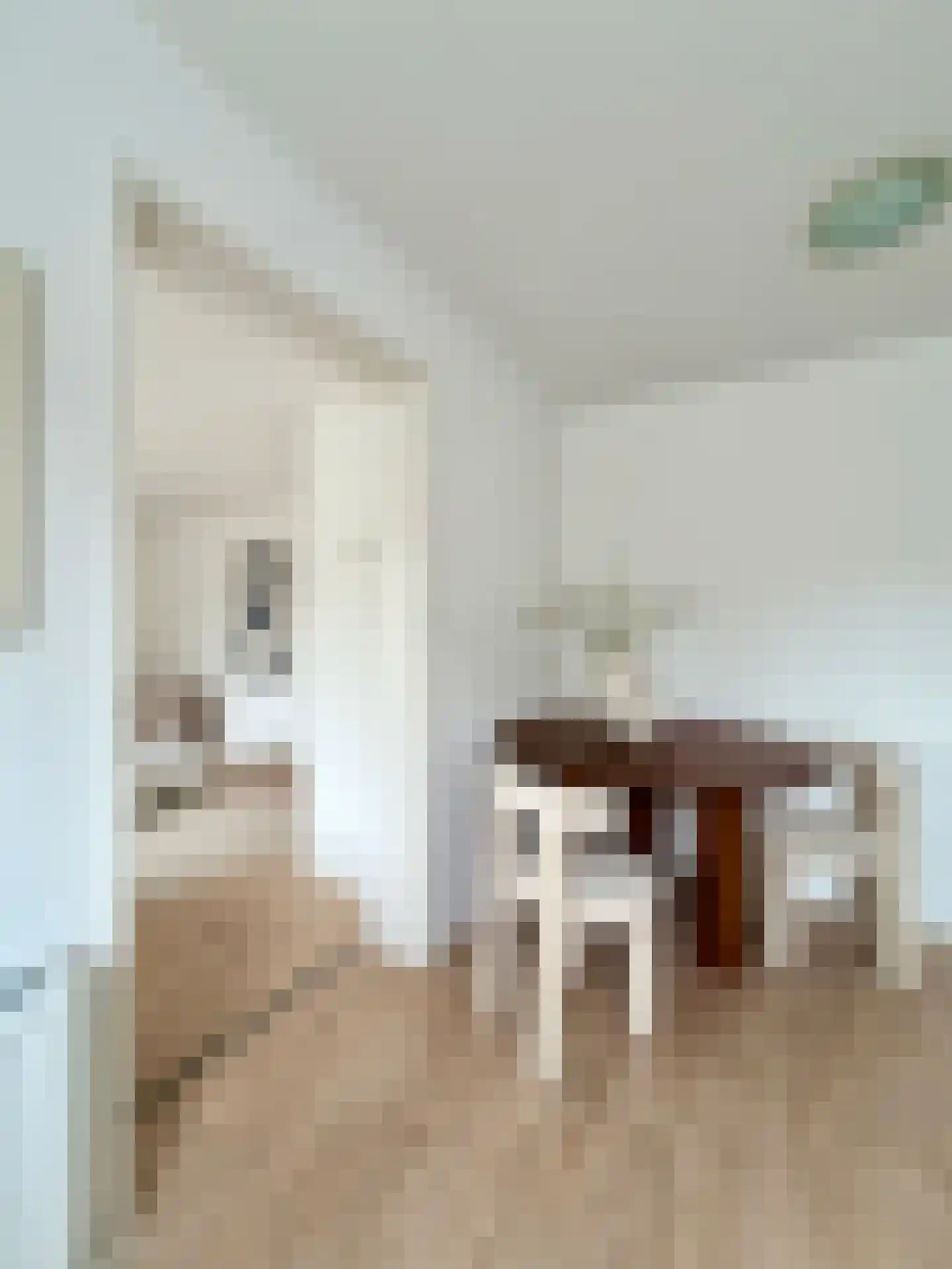 Wagenweg 114 C Haarlem thumbnail 22