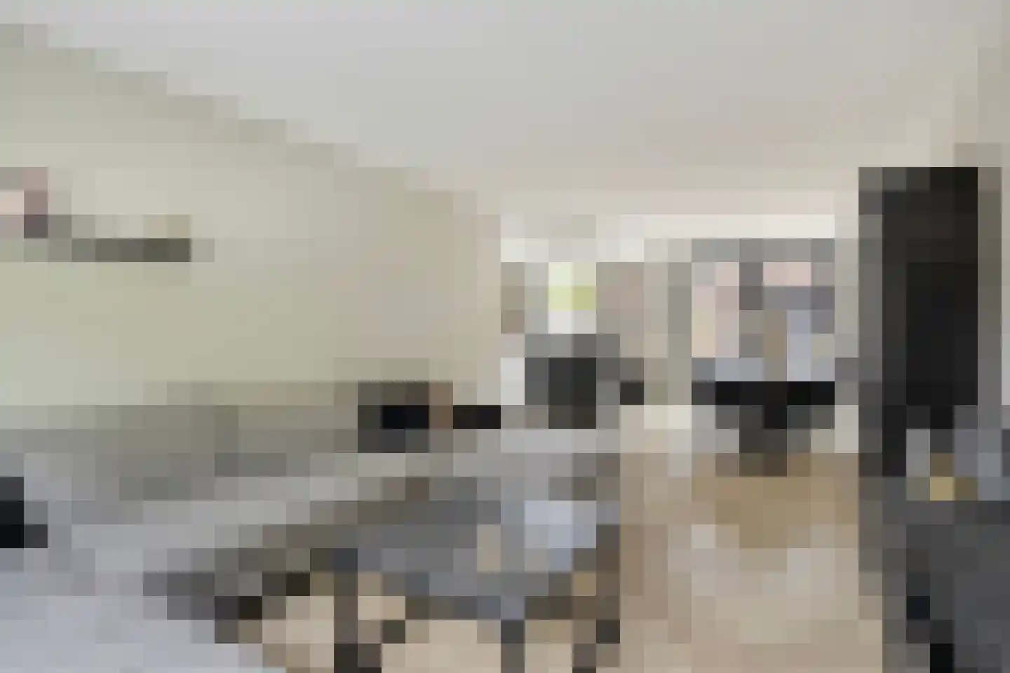 Wagenweg 12 b Nunspeet thumbnail 10