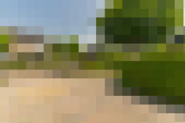Wagenweg 12 f Nunspeet thumbnail 32