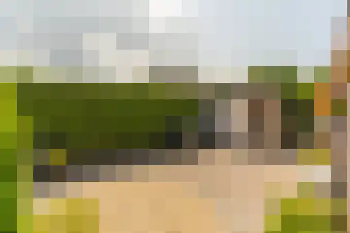 Wagenweg 12 f Nunspeet thumbnail 33