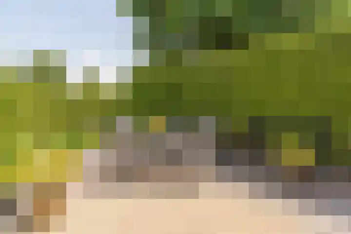 Wagenweg 12 f Nunspeet thumbnail 36