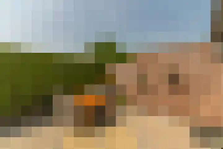 Wagenweg 12 f Nunspeet thumbnail 41