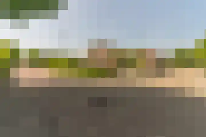 Wagenweg 12 f Nunspeet thumbnail 45