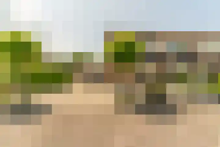 Wagenweg 12 f Nunspeet thumbnail 5