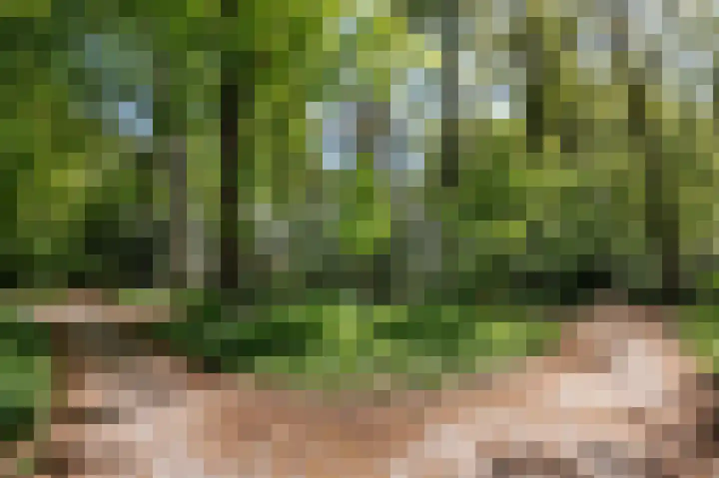 Wagenweg 122 B Haarlem thumbnail 33