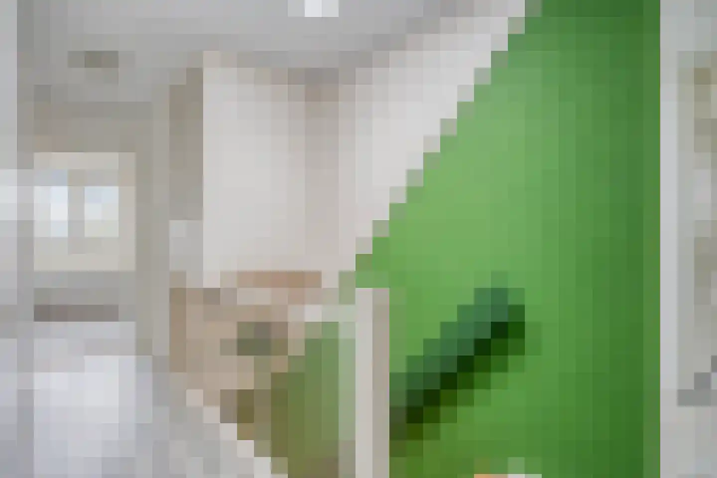 Wagenweg 14 Huissen thumbnail 12