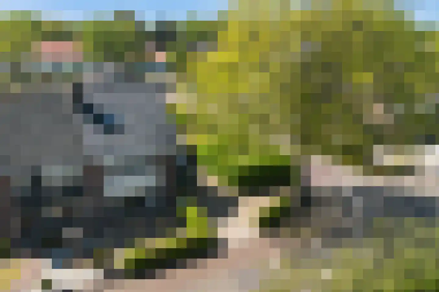 Wagenweg 14 Nunspeet thumbnail 51