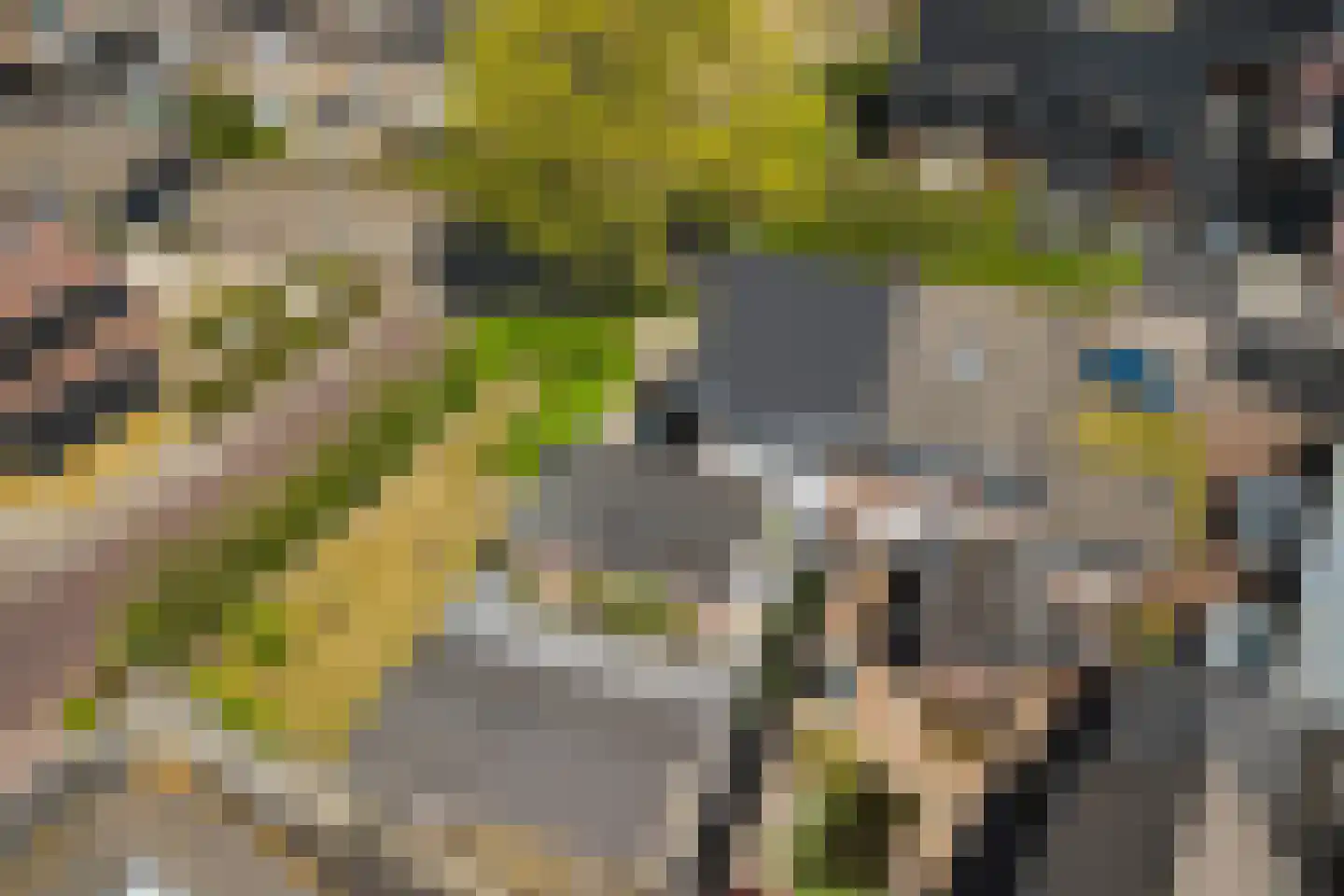 Wagenweg 14 Nunspeet thumbnail 52