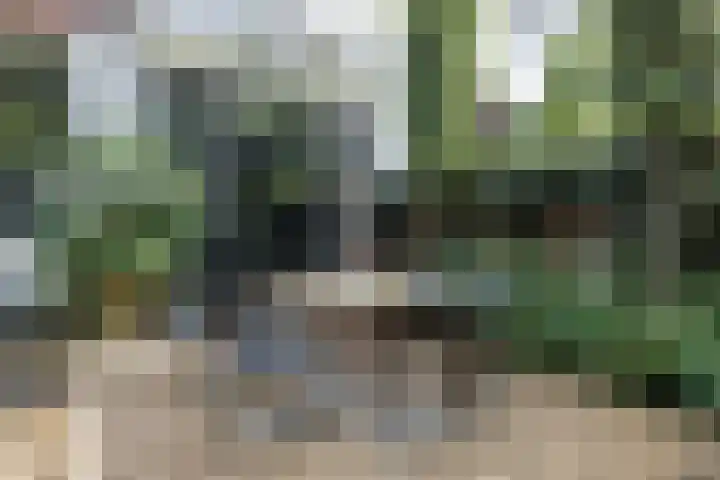Wagenweg 154 Haarlem thumbnail 36