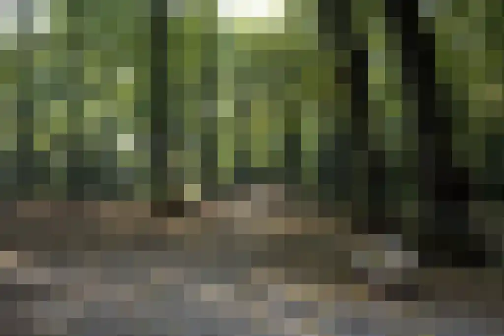 Wagenweg 166 B Haarlem thumbnail 37