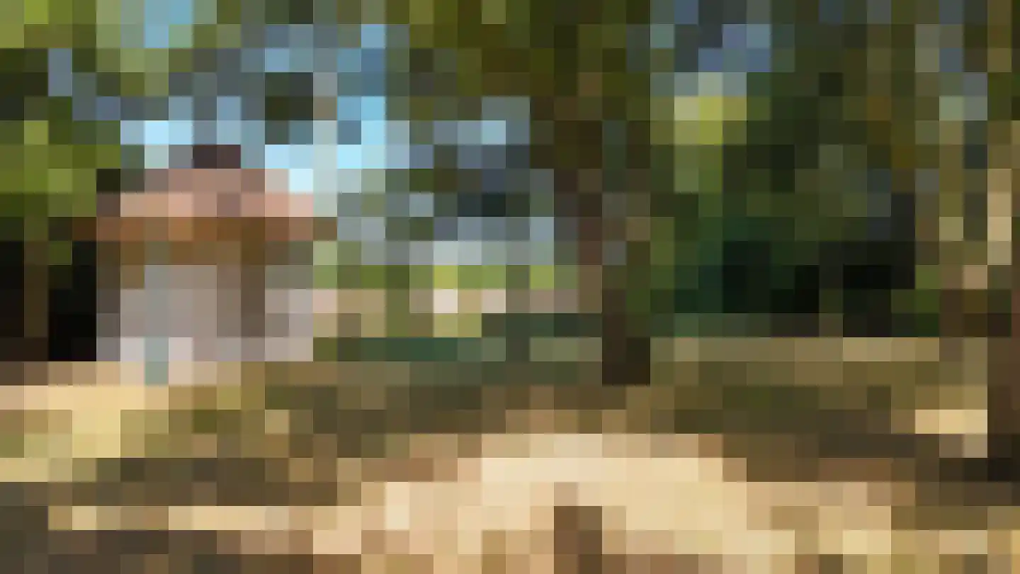 Wagenweg 2 Oudkarspel thumbnail 12