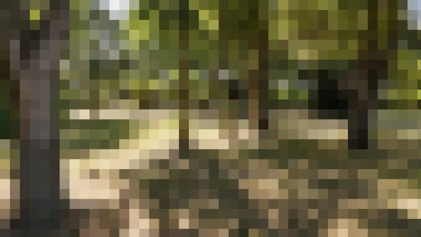 Wagenweg 2 Oudkarspel thumbnail 13
