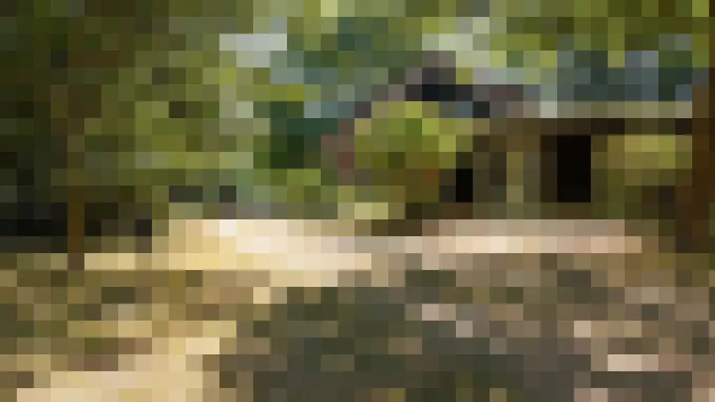 Wagenweg 2 Oudkarspel thumbnail 14