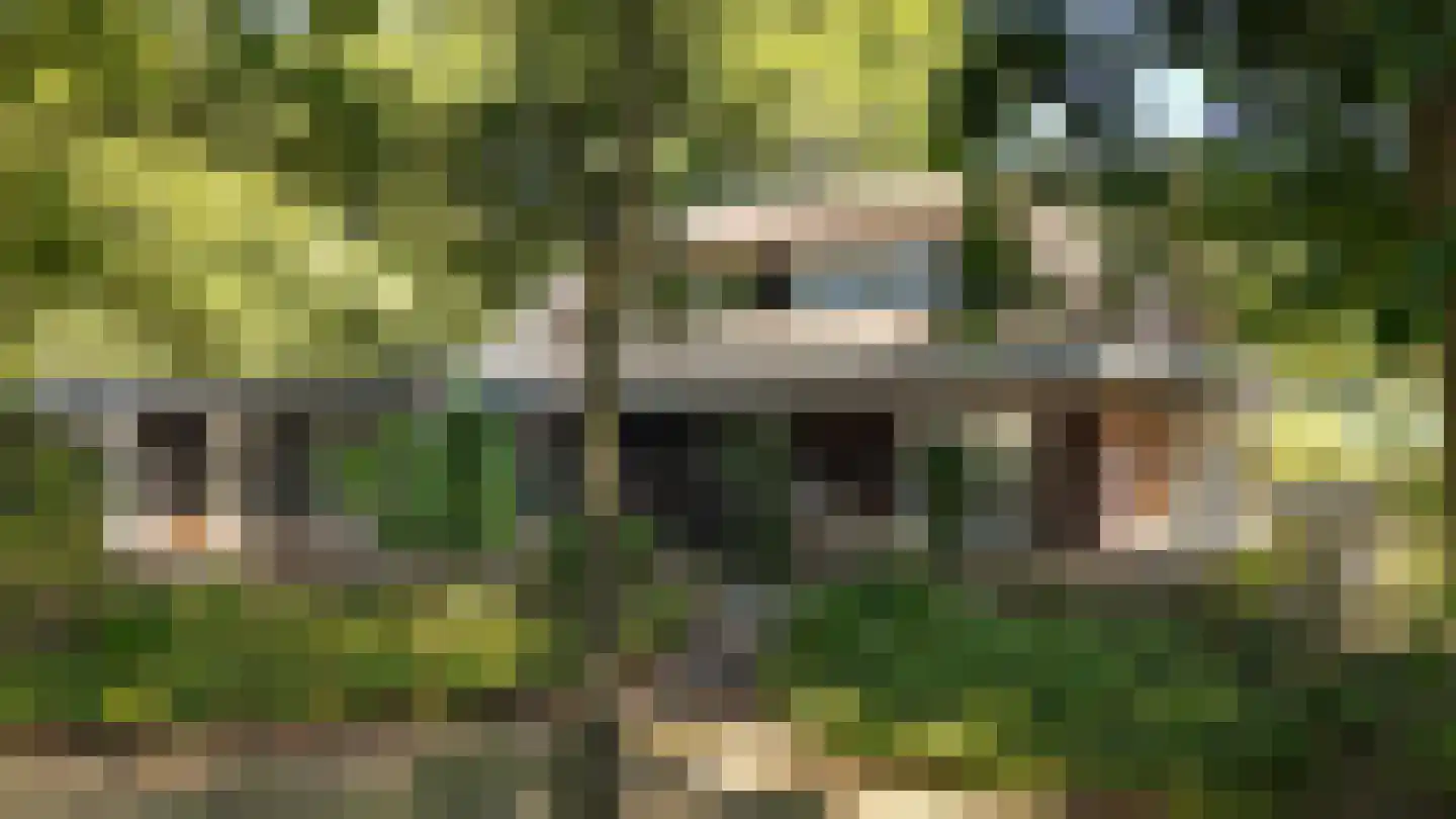 Wagenweg 2 Oudkarspel thumbnail 15