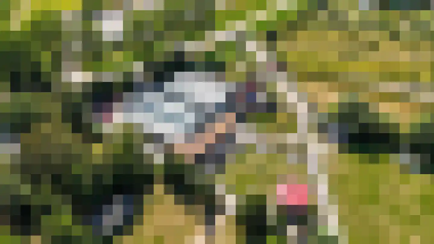 Wagenweg 2 Oudkarspel thumbnail 17