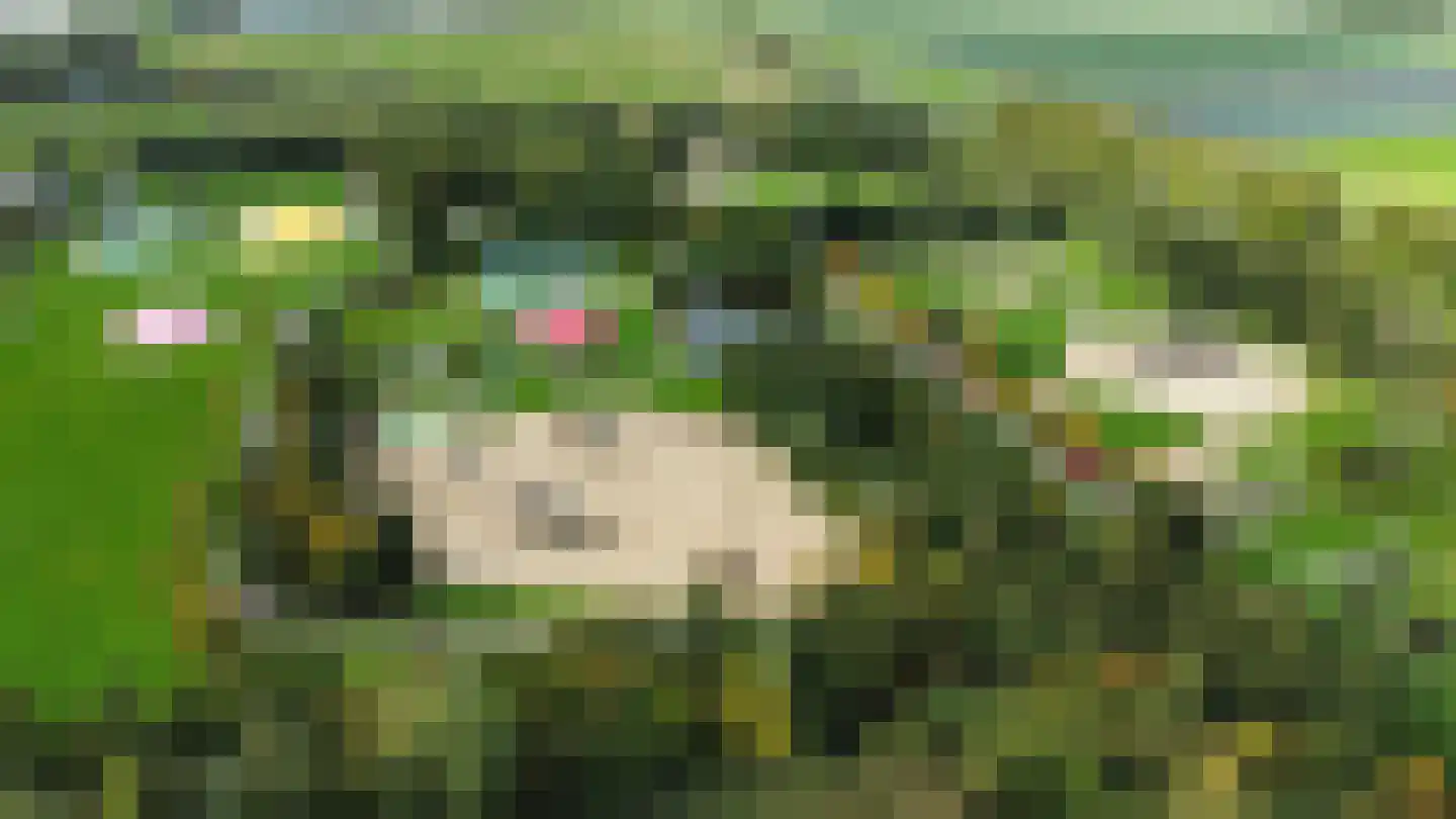 Wagenweg 2 Oudkarspel thumbnail 23