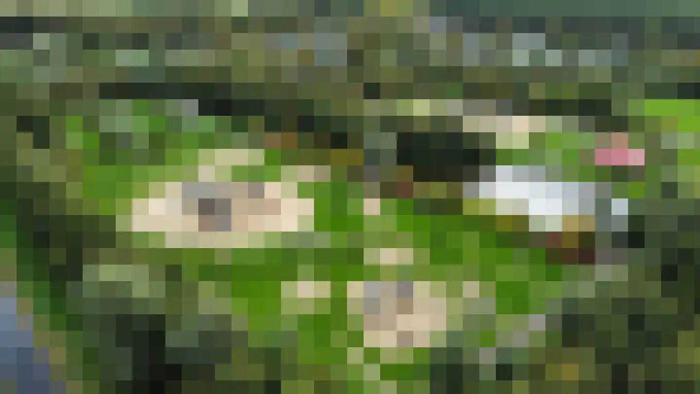 Wagenweg 2 Oudkarspel thumbnail 24