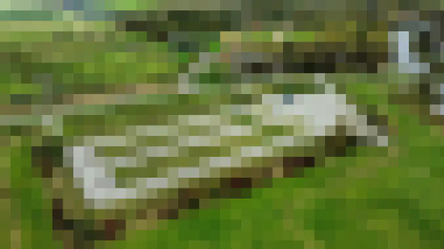 Wagenweg 2 Oudkarspel thumbnail 29