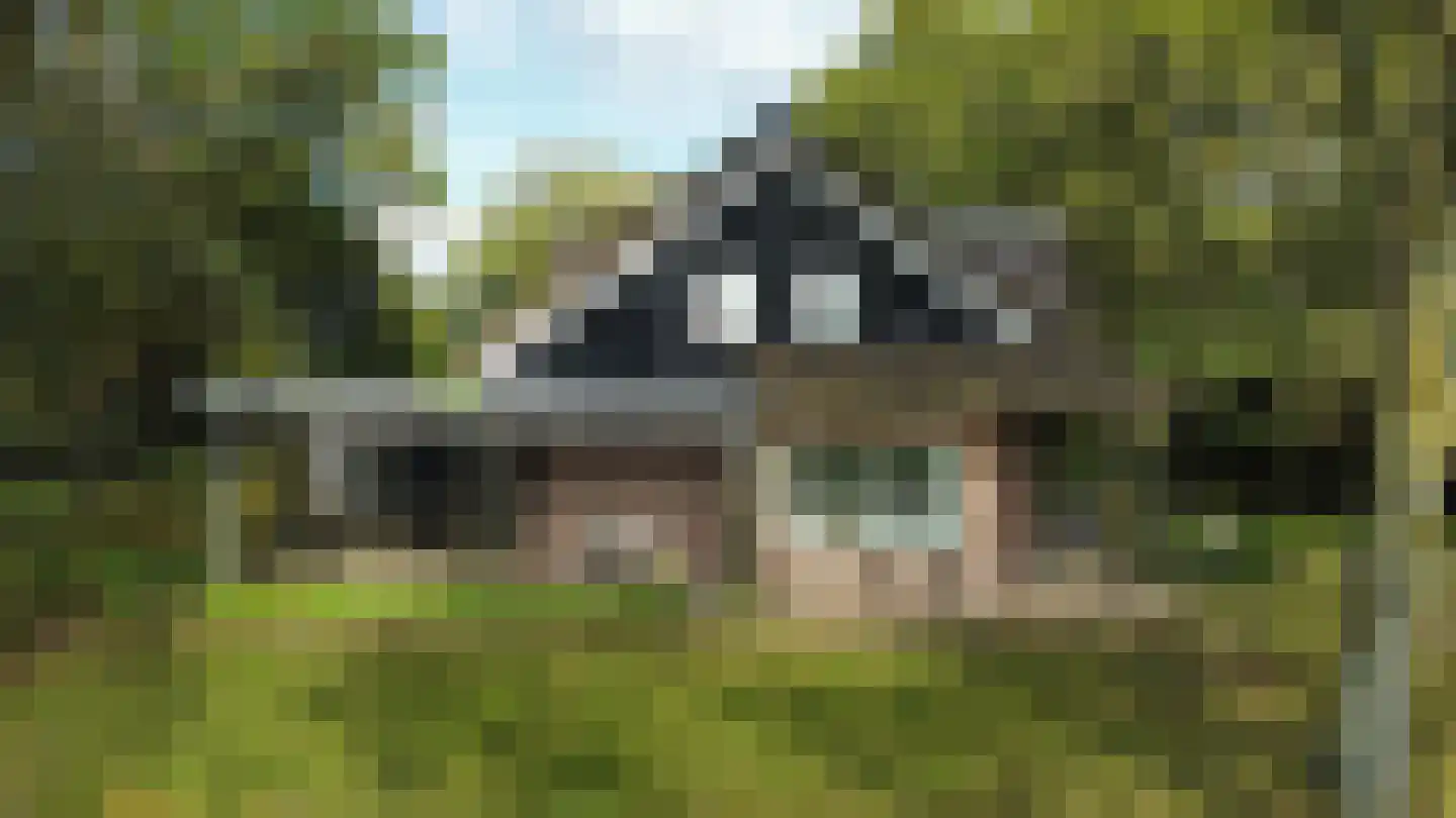 Wagenweg 2 Oudkarspel foto 3