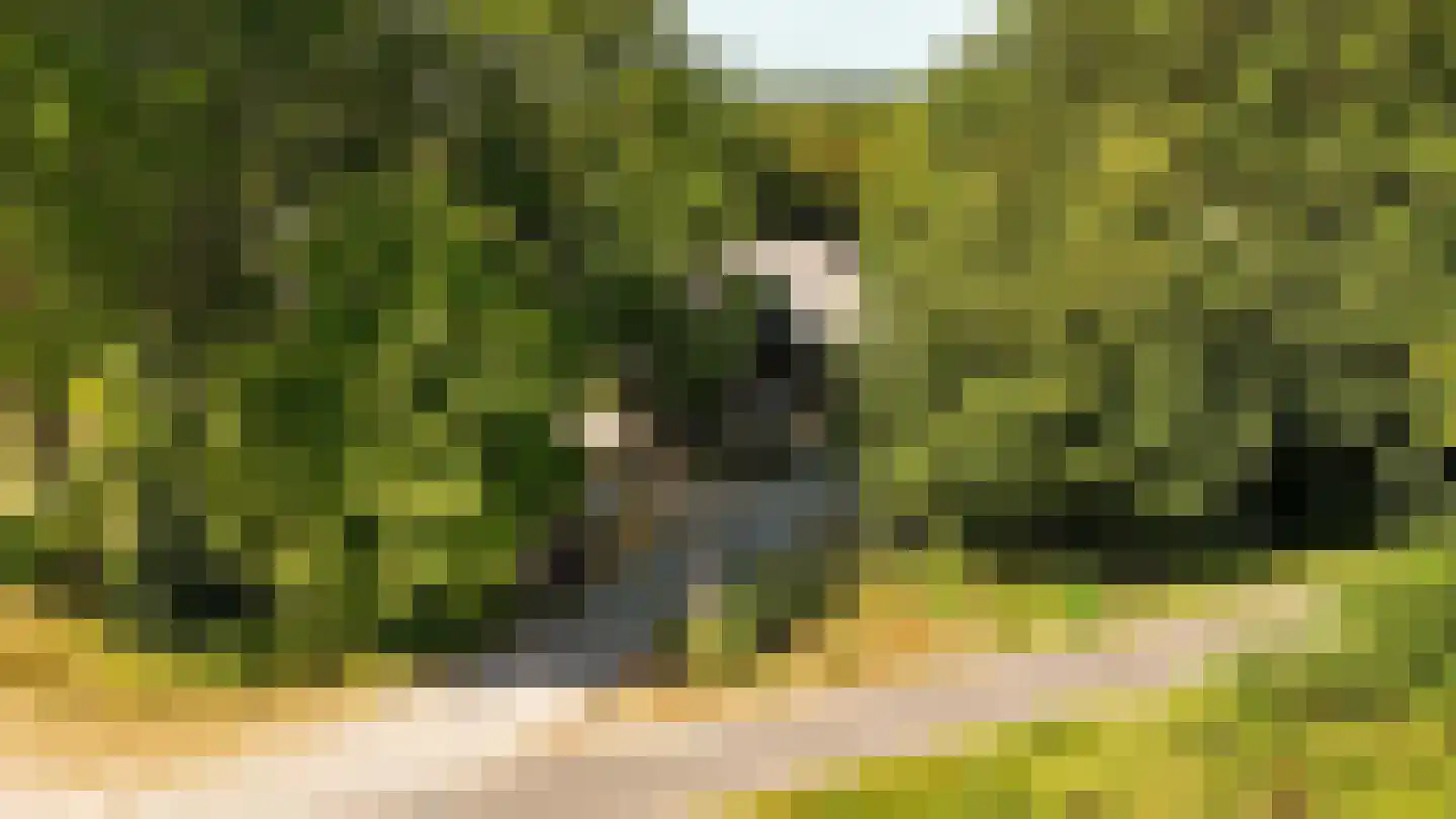 Wagenweg 2 Oudkarspel thumbnail 30