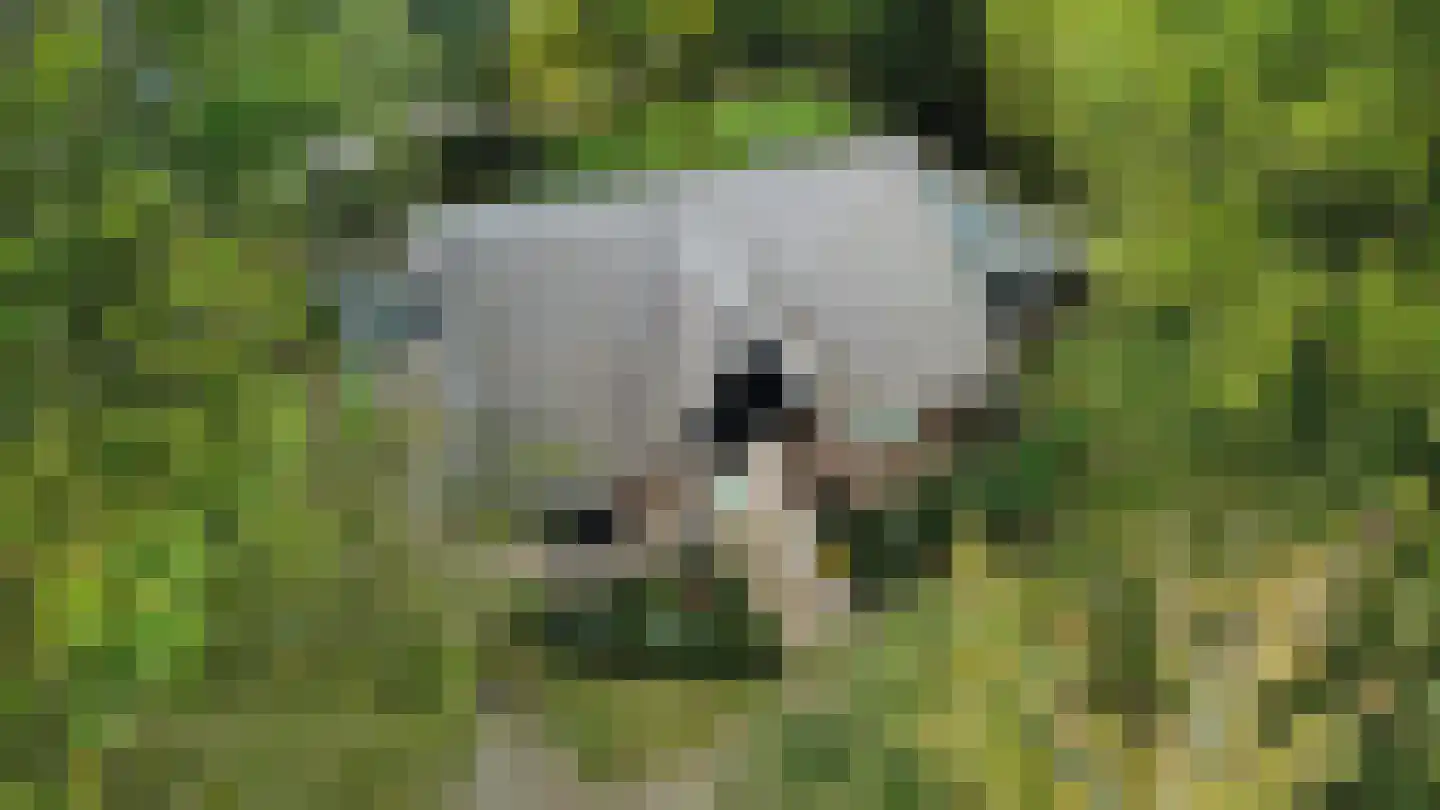 Wagenweg 2 Oudkarspel thumbnail 4