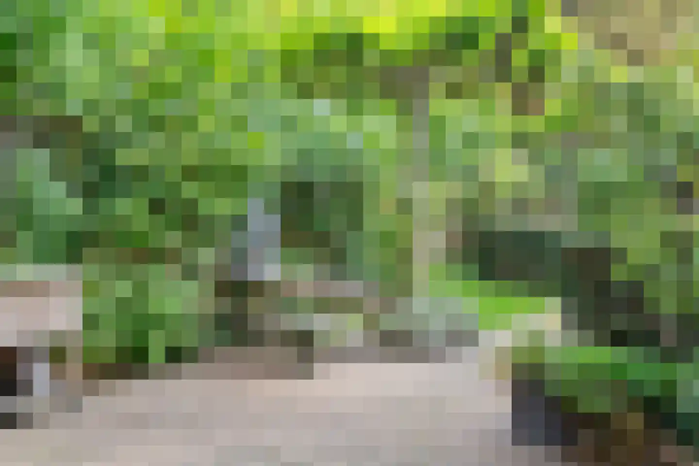 Wagenweg 21 Haarlem thumbnail 16