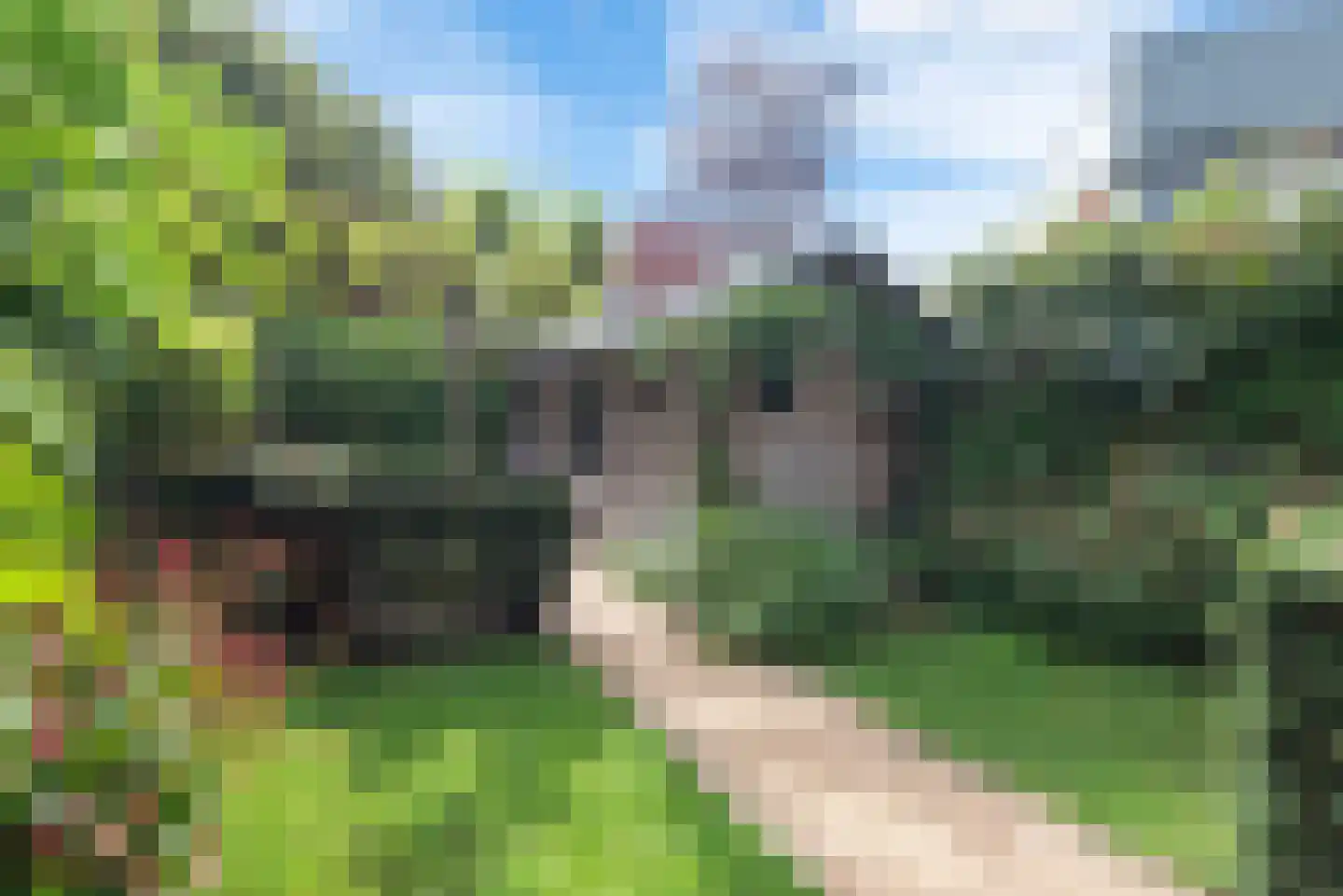 Wagenweg 21 Haarlem thumbnail 19