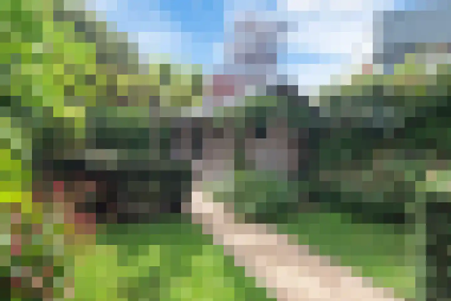 Wagenweg 21 Haarlem thumbnail 19
