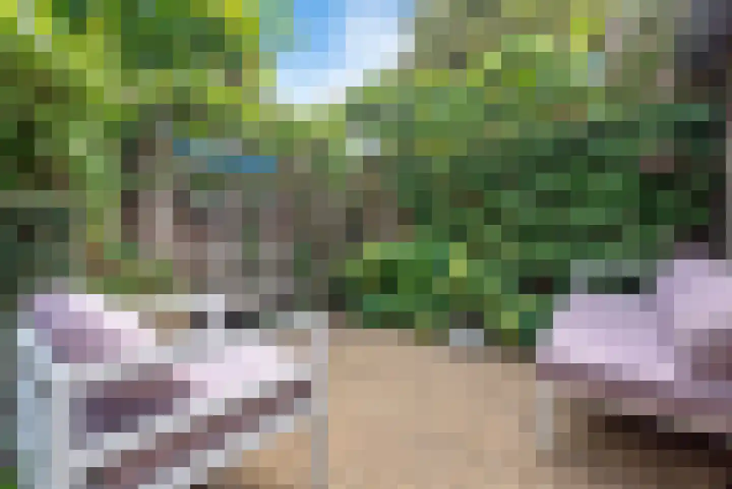 Wagenweg 21 Haarlem thumbnail 20