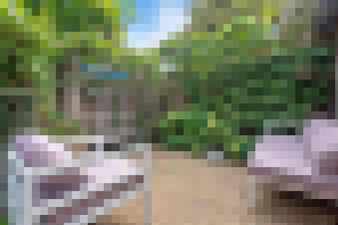 Wagenweg 21 Haarlem thumbnail 20