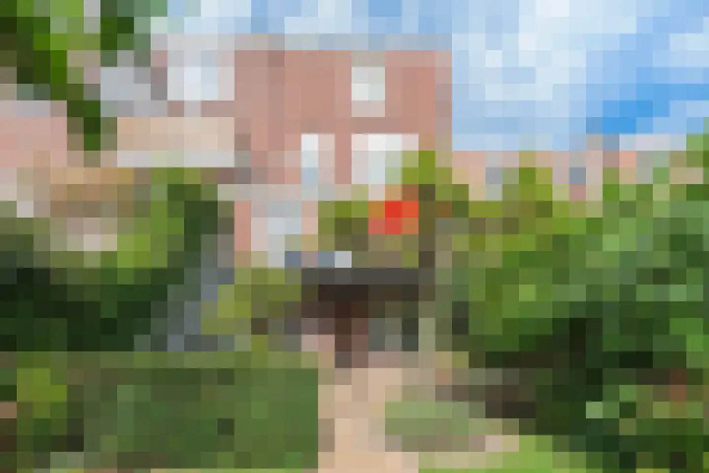 Wagenweg 21 Haarlem thumbnail 23