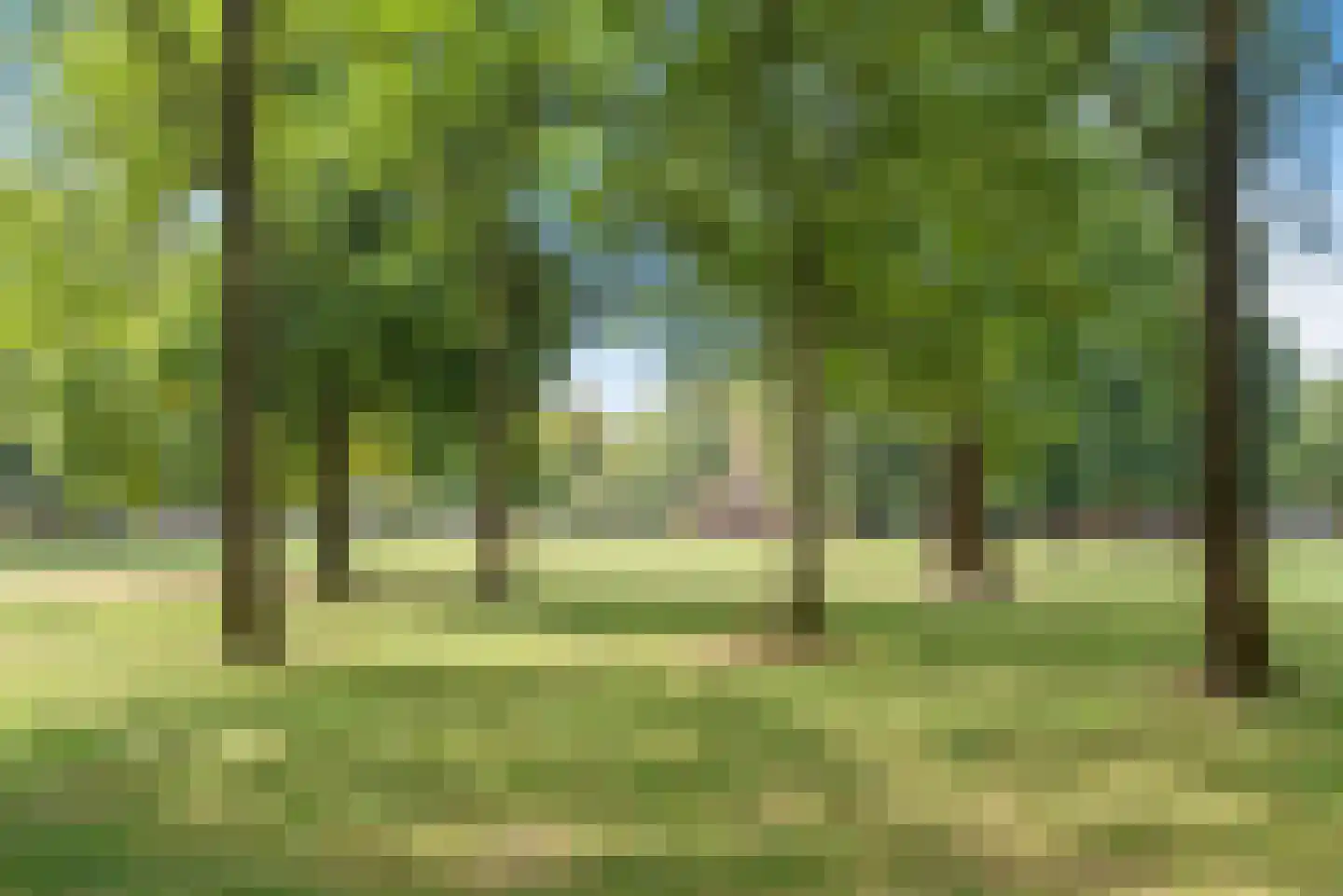 Wagenweg 21 Haarlem thumbnail 71