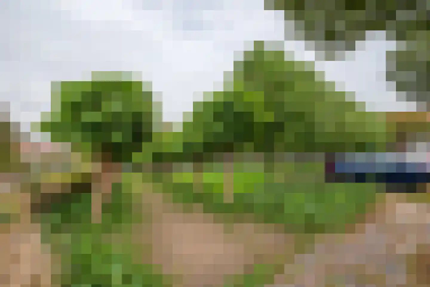 Wagenweg 23 B Haarlem thumbnail 37