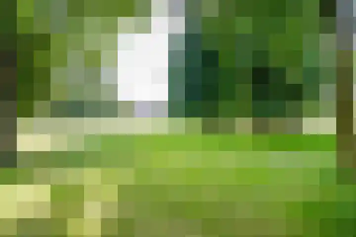 Wagenweg 25 D Haarlem thumbnail 20